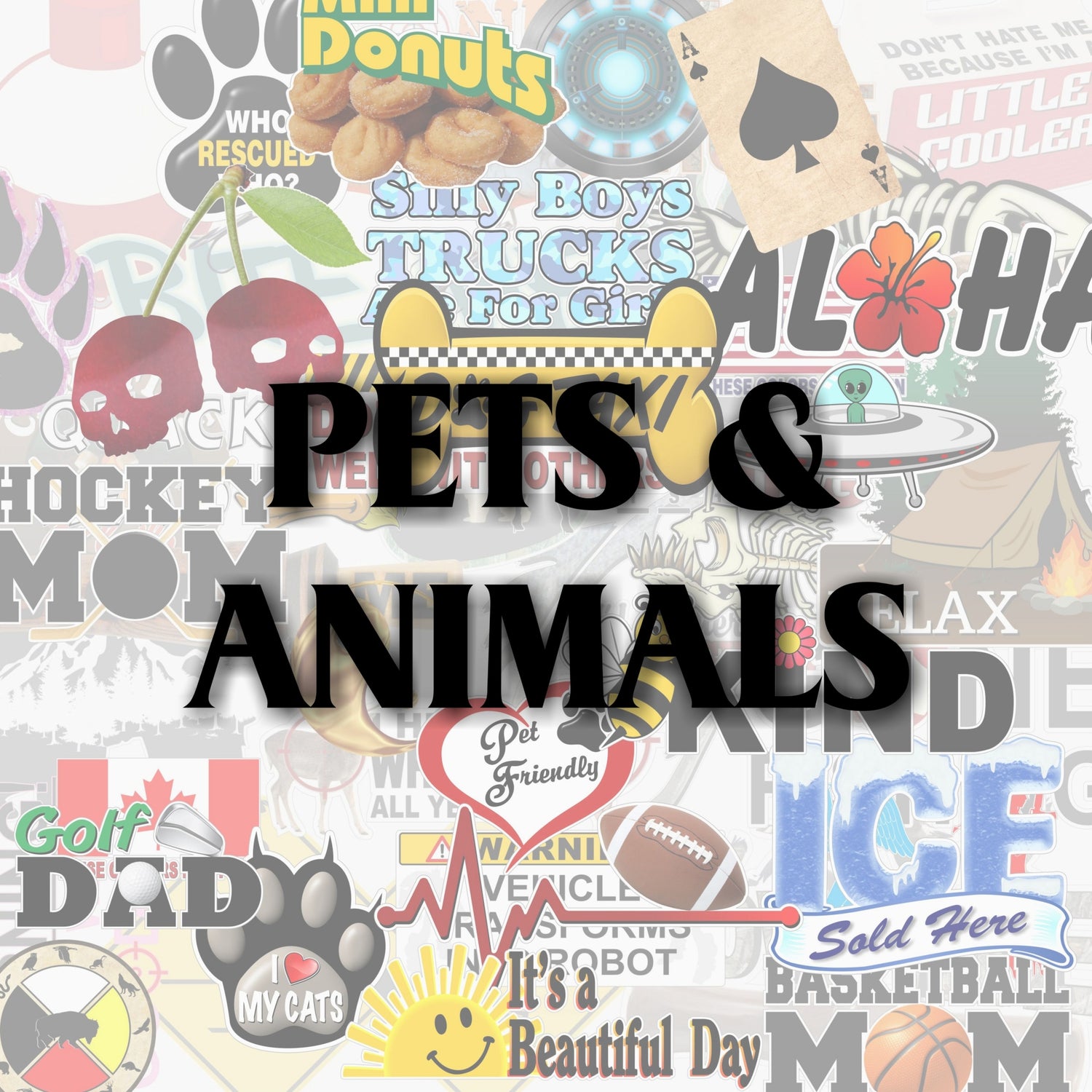 Pets & Animals