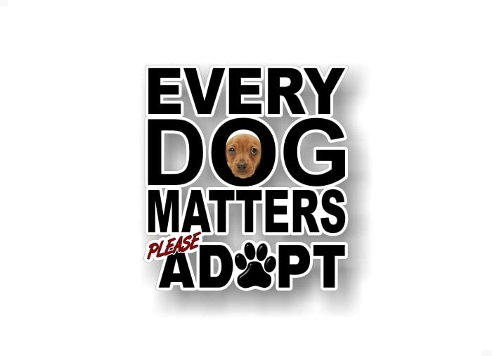 Every Dog Matters Please Adopt 5.5'' Decal Puppy Love Breed Pet Paws Cute Car Sticker Decals Pet Adoption Rescue Kennel SUV Animal Shelter Vinyl Stickers -Street Legal Decals
