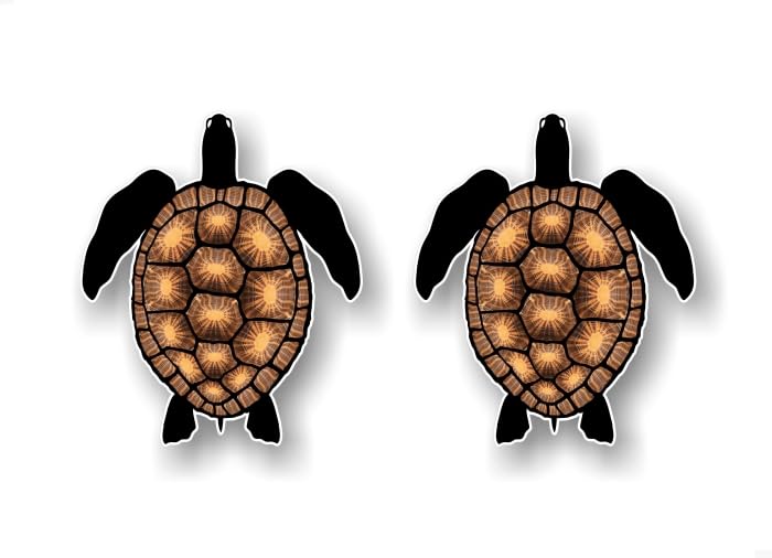 Sea Turtle 7'' Vinyl Decal Patient Wise Symbol of Good Luck, Long Life and Protection Tortoise Healing Sacred Circle Natural Spiritual Path Vinyl Sticker -Street Legal Decals