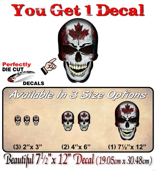 2 Forbidden Skull Series American Decals USA America Flag Vinyl Stickers Racing Race Army Helmet Human Skulls Sticker -Street Legal Decals