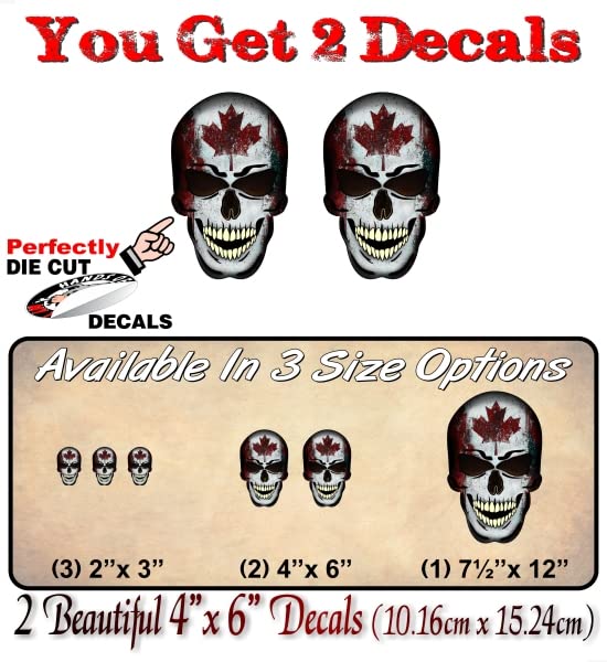 2 Forbidden Skull Series American Decals USA America Flag Vinyl Stickers Racing Race Army Helmet Human Skulls Sticker -Street Legal Decals