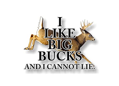 I Like Big Bucks Decal Buck Hunting Doe Deer Rifle Storage Locker Cabinet Safe Truck Vinyl Sticker -Street Legal Decals