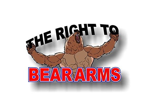 Right to BEAR Arms 8" Decal-Street Legal Decals