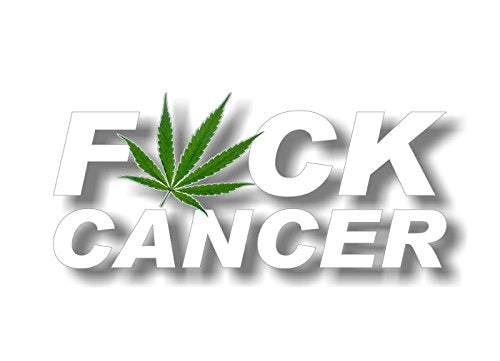 FCK Cancer Cannabis Ribbon Decal Breast Prostate Ovarian Cervical FU Cancer Vinyl Vehicle Sticker -Street Legal Decals