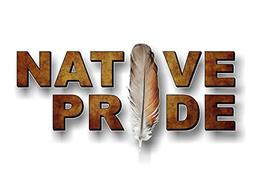 Native Pride with Feather 9" Decal-Street Legal Decals