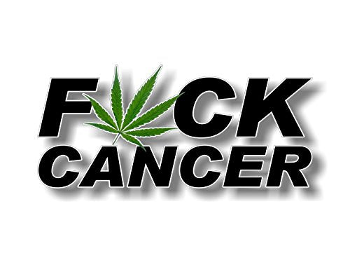 FCK Cancer Cannabis Ribbon Decal Breast Prostate Ovarian Cervical FU Cancer Vinyl Vehicle Sticker -Street Legal Decals