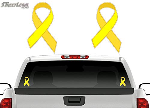 (2) Cancer Ribbon 6" Decals-Street Legal Decals