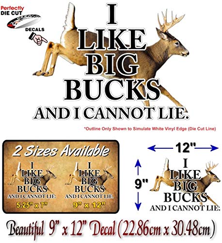 I Like Big Bucks Decal Buck Hunting Doe Deer Rifle Storage Locker Cabinet Safe Truck Vinyl Sticker -Street Legal Decals