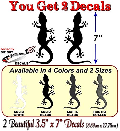 Gecko Climbing Decals-Street Legal Decals