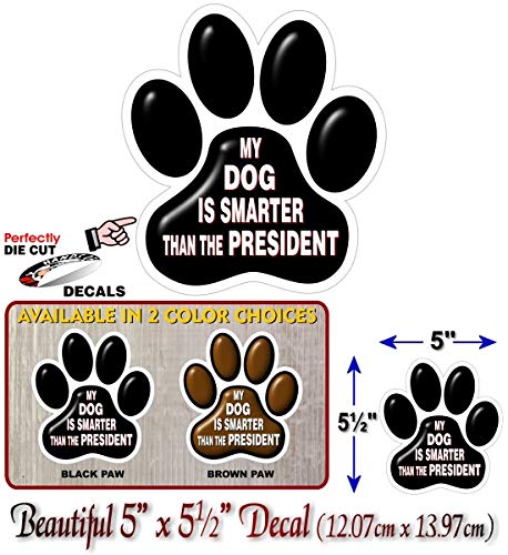 My Dog is Smarter Than The President 5.5" Decal-Street Legal Decals