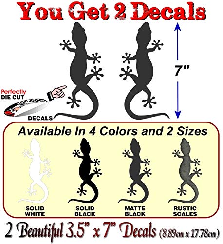 Gecko Climbing Decals-Street Legal Decals