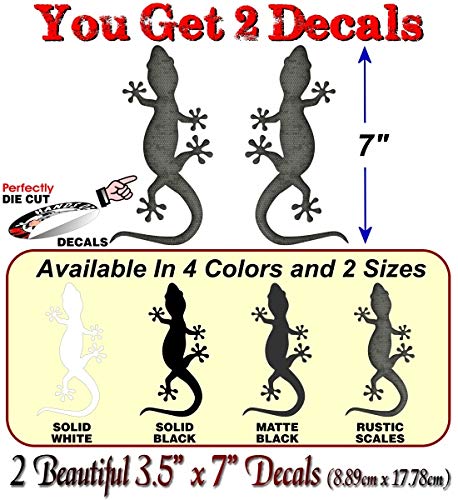 Gecko Climbing Decals-Street Legal Decals