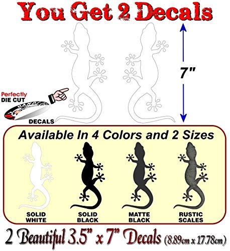 Gecko Climbing Decals-Street Legal Decals