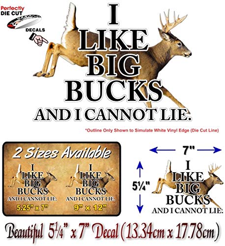 I Like Big Bucks Decal Buck Hunting Doe Deer Rifle Storage Locker Cabinet Safe Truck Vinyl Sticker -Street Legal Decals