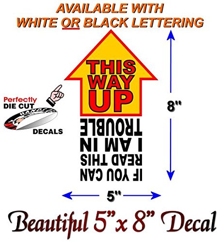 This Way Up 8" Decal-Street Legal Decals