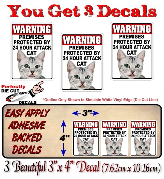 3 Warning 24 Hour ATTACK Cat 4" Decal Stickers Security Warning Sign Kitty Alert Vinyl Sticker Decals -Street Legal Decals