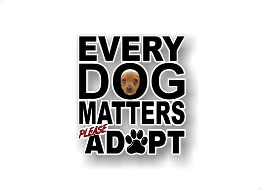 Every Dog Matters Please Adopt 5.5'' Decal Puppy Love Breed Pet Paws Cute Car Sticker Decals Pet Adoption Rescue Kennel SUV Animal Shelter Vinyl Stickers -Street Legal Decals