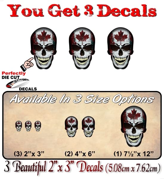 2 Forbidden Skull Series American Decals USA America Flag Vinyl Stickers Racing Race Army Helmet Human Skulls Sticker -Street Legal Decals