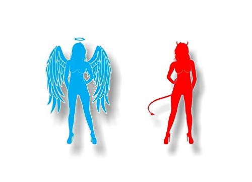 2 Naughty and Nice Angel - Devil Sexy Girls Wing Girl Decals Racing Race Stickers -Street Legal Decals