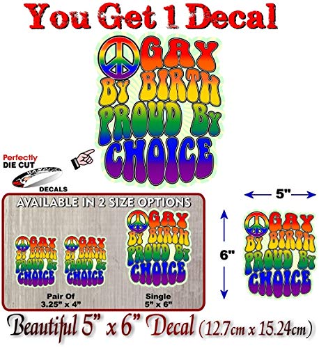 Street Legal Decals Gay by Birth Proud by Choice 60's Design Full Color Vinyl Decal LGBT Pride Gift Rainbow Decal for Gay Lesbian Car Truck Vehicle Sticker -Street Legal Decals