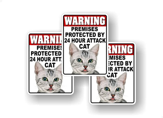 3 Warning 24 Hour ATTACK Cat 4" Decal Stickers Security Warning Sign Kitty Alert Vinyl Sticker Decals -Street Legal Decals