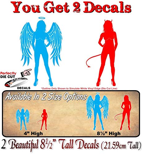 2 Naughty and Nice Angel - Devil Sexy Girls Wing Girl Decals Racing Race Stickers -Street Legal Decals