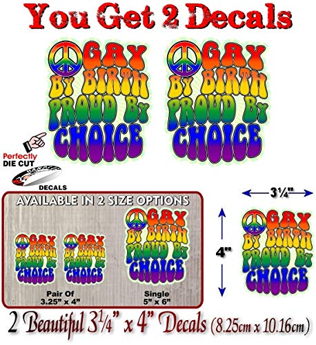 Street Legal Decals Gay by Birth Proud by Choice 60's Design Full Color Vinyl Decal LGBT Pride Gift Rainbow Decal for Gay Lesbian Car Truck Vehicle Sticker -Street Legal Decals